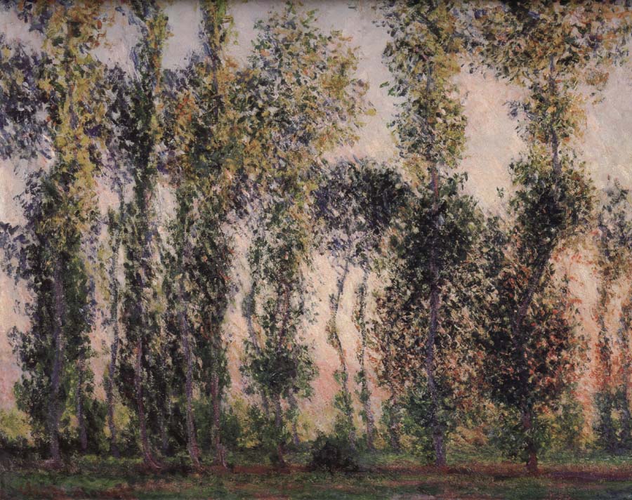 Claude Monet Poplars at Giverny
